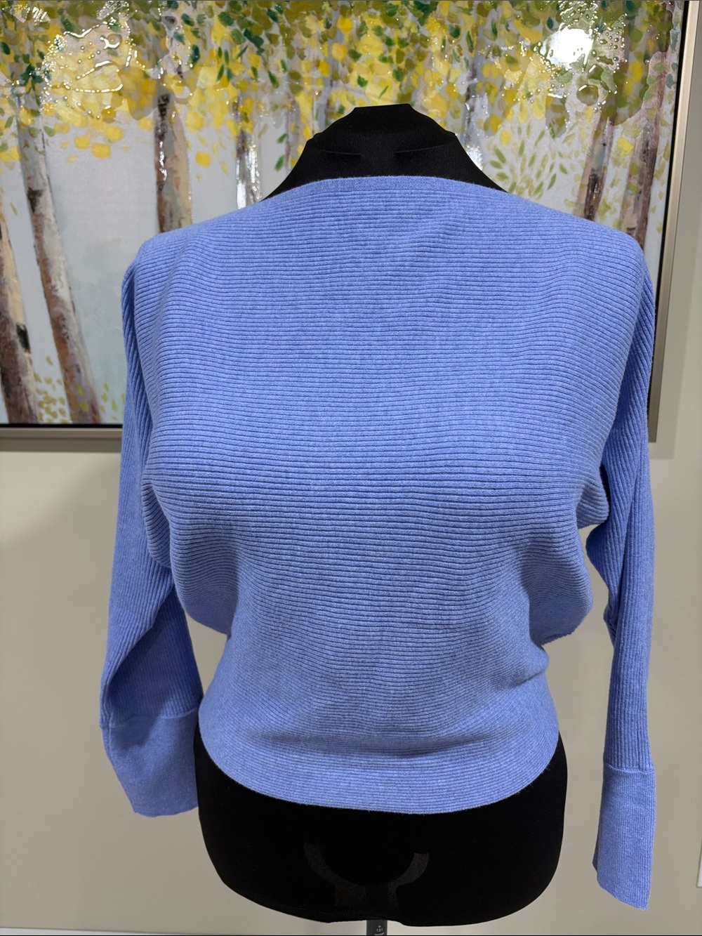 NWOT Women's Nine West Dolman Boatneck Sweater - Picture 1 of 16